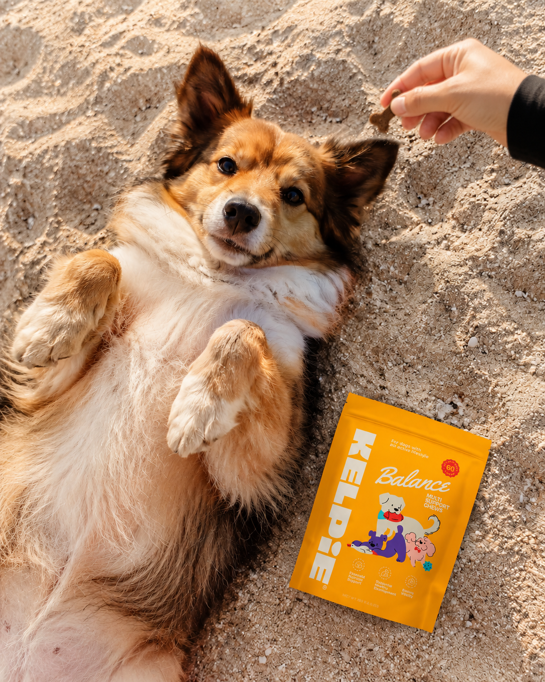 Kelpie Balance Chews