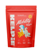 Kelpie Mobility Support Chews