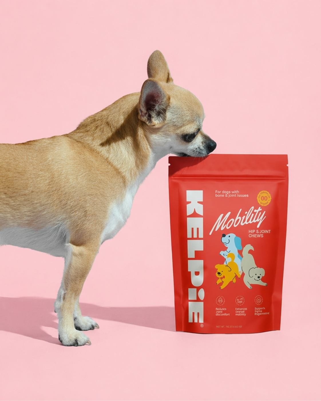 Kelpie Mobility Support Chews