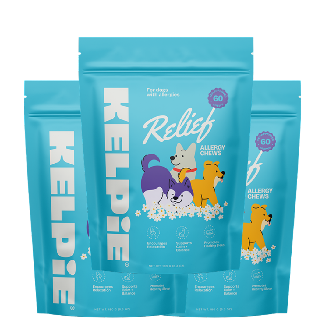 Allergy Relief Chews