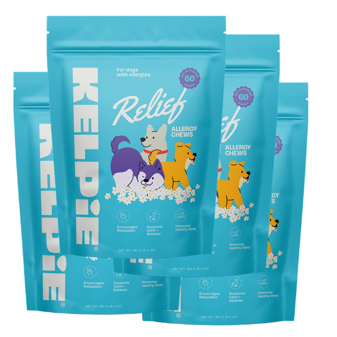 Allergy Relief Chews