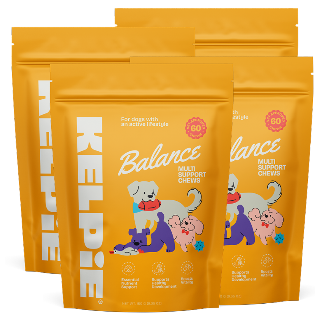4 Packs - Kelpie Balance Chews