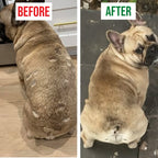 Allergy Relief Chews