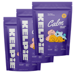 Kelpie Calm Chews