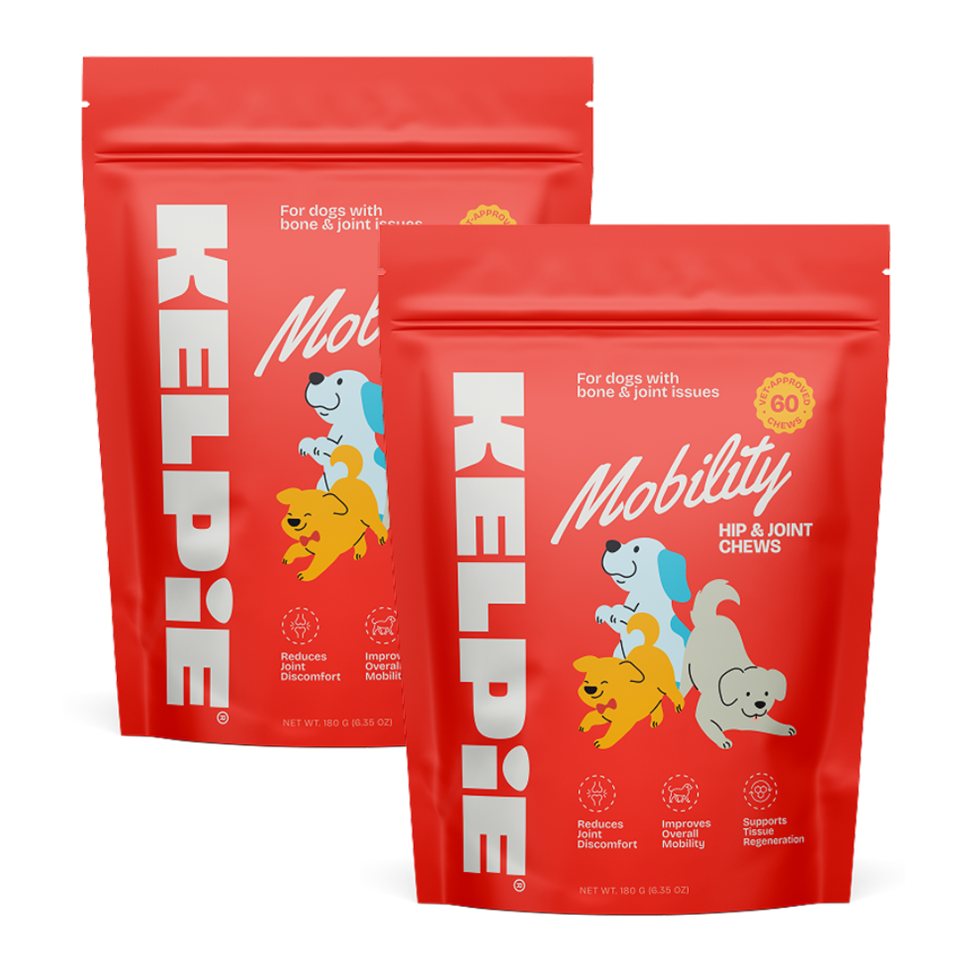 Kelpie Mobility Support Chews
