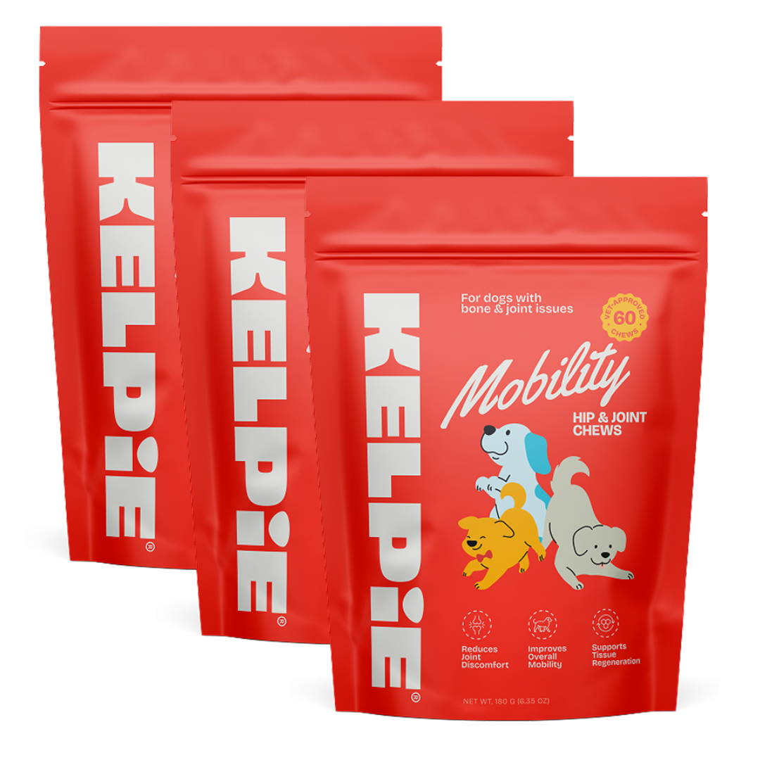 Kelpie Mobility Support Chews