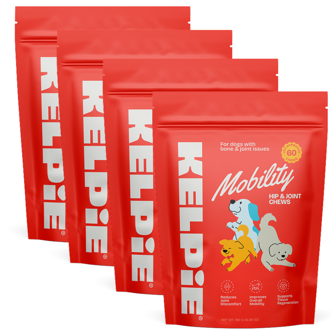 Kelpie Mobility Support Chews
