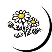 Benefit Icon