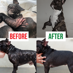 Allergy Relief Chews