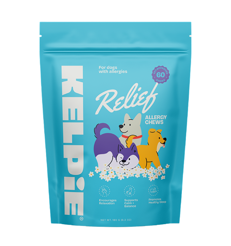Allergy Relief Chews