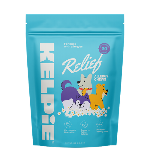 Allergy Relief Chews