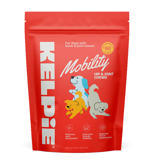 Kelpie Mobility Support Chews