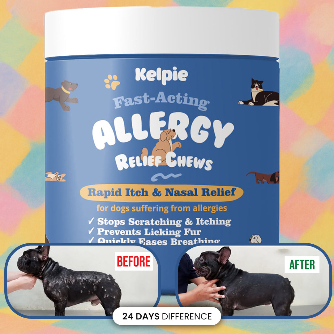 Allergy Relief Chews