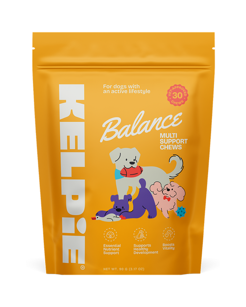 Kelpie Balance multi support chews pouch, 30 chews, net wt 90 g