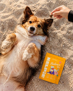 Kelpie Balance Chews