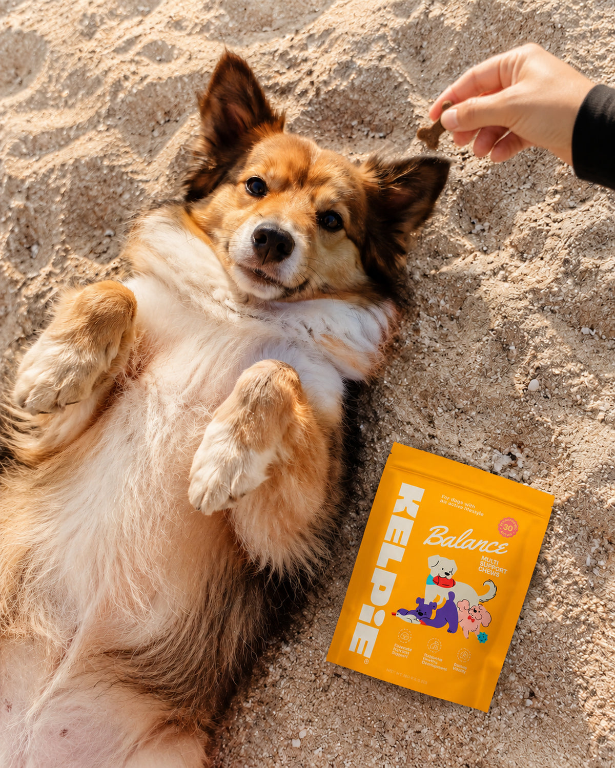 Kelpie Balance Chews