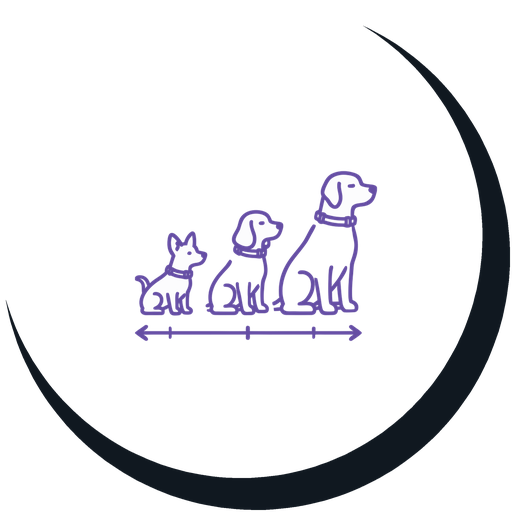 Line drawing of three dogs of different sizes with a measuring arrow