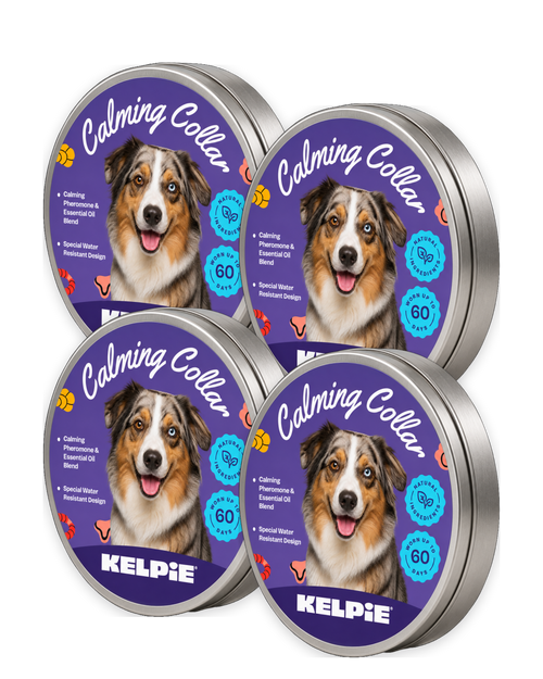 Four tins of Kelpie Calming Collar, the four pack