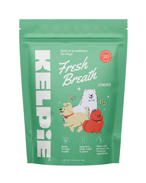 Fresh Breath Chews