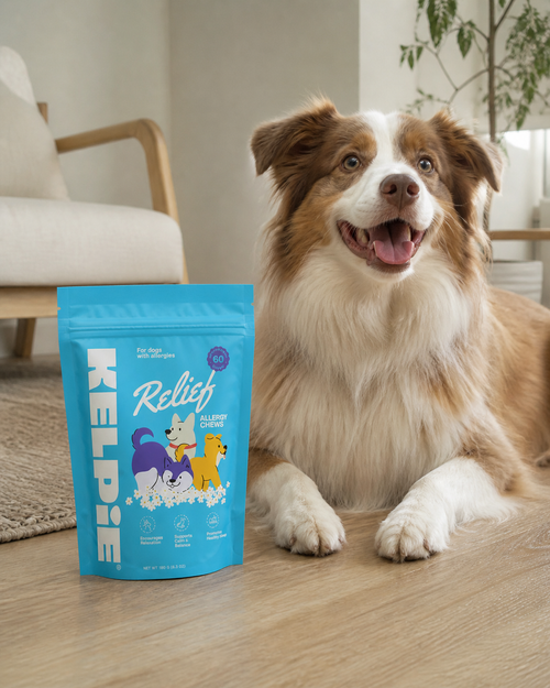 Allergy Relief Chews