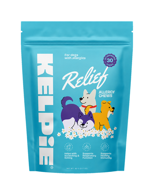 Kelpie Relief allergy chews pouch, 30 soft chews, 90 g