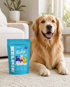 Kelpie Relief allergy chews pouch beside a golden retriever on a rug